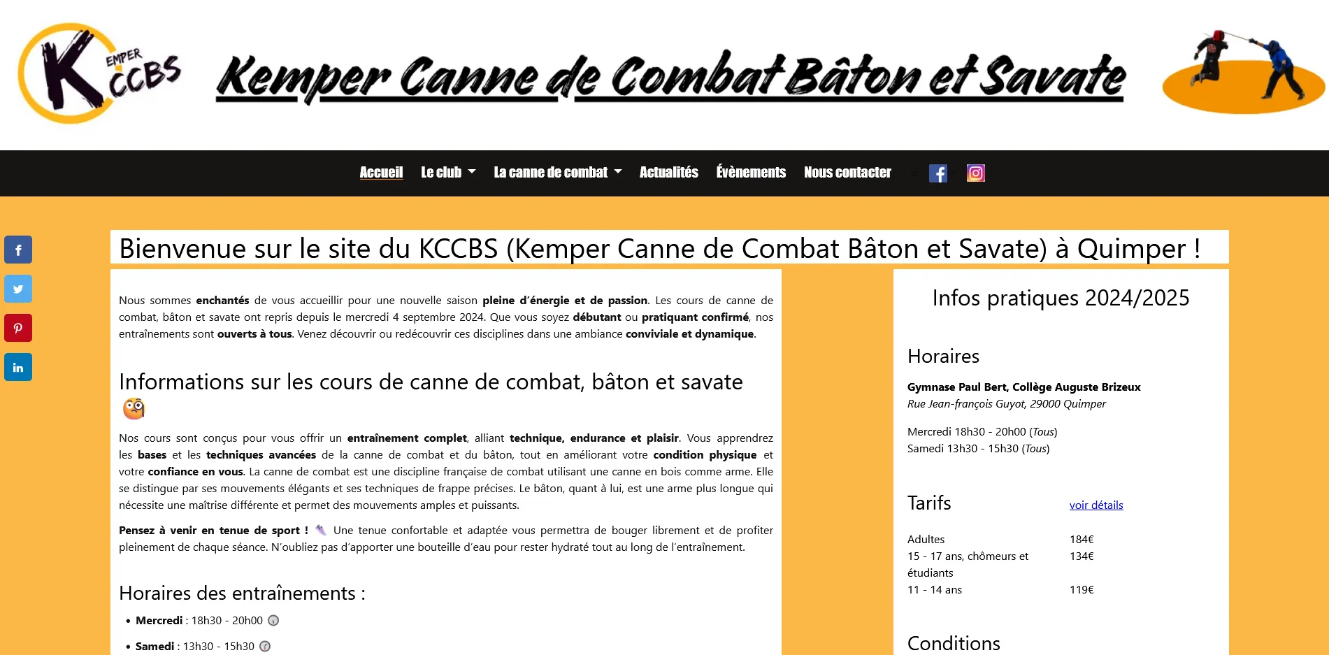 Aperçu image du site web